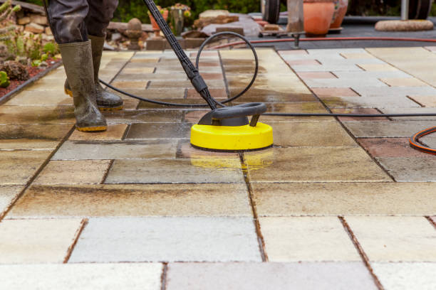 Animal Enclosure Cleaning in Gardena, CA